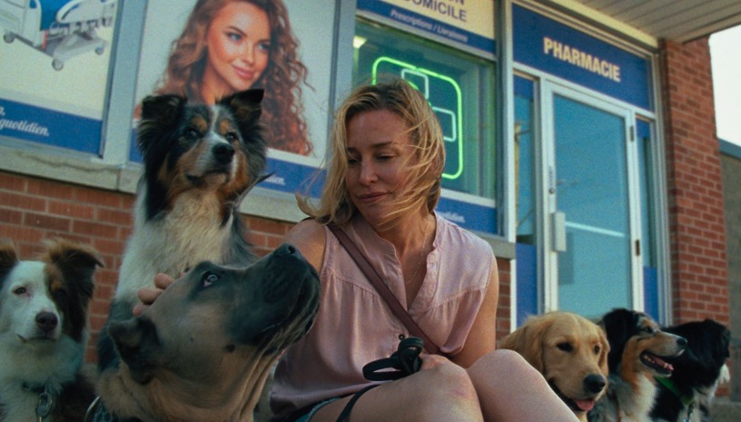 FFF26 Αποκορύφωμα/Amour Apocalypse