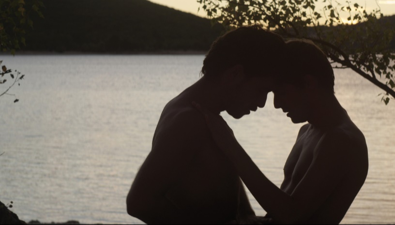 Ο ΑΓΝΩΣΤΟΣ ΤΗΣ ΛΙΜΝΗΣ / STRANGER BY THE LAKE / L’INCONNU DU LAC