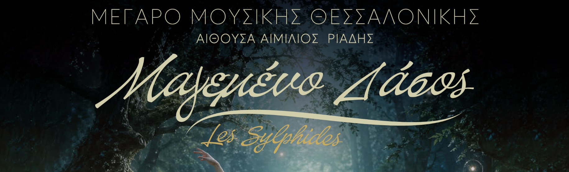 ΣΧΟΛΗ ΧΟΡΟΥ ΚΑΤΕΡΙΝΑ ΡΟΚΑ: ΜΑΓΕΜΕΝΟ ΔΑΣΟΣ