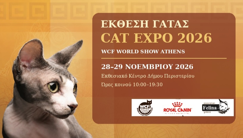 CAT EXPO 2026