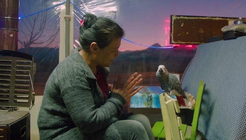 TIDF28 EXILE(S), Tales From an Island