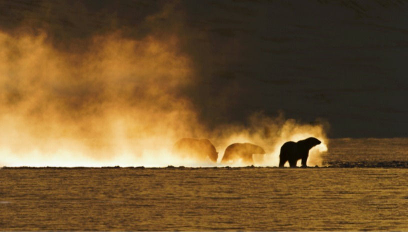 TIDF28 Frost Without Snow and Ice