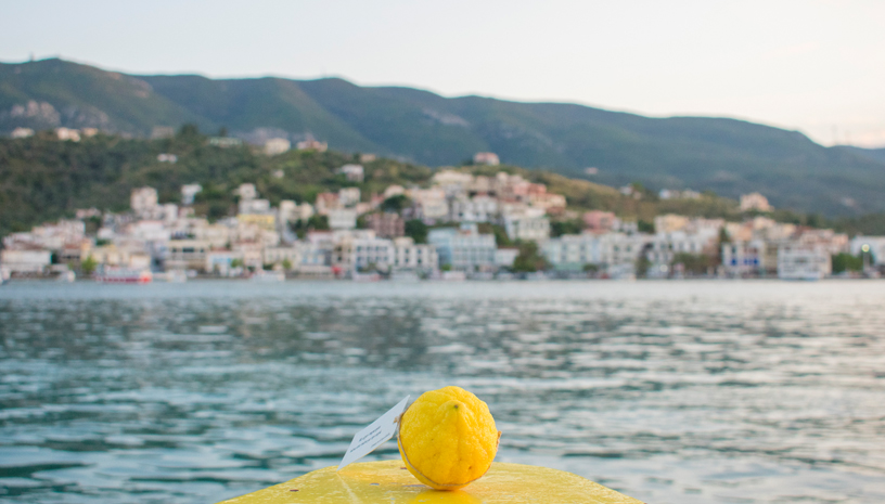 Lemon Περιοδεία 2025 - 2026 🍋